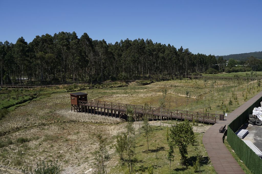 Regeneración ambiental de las marismas de A Xunqueira do Areal, Fase I. Después de las obras