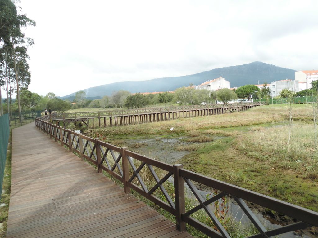 Regeneración ambiental de las marismas de A Xunqueira do Areal, Fase I. Después de las obras