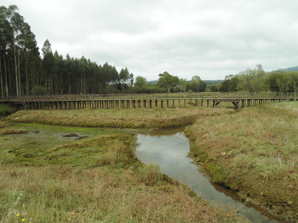 Regeneración ambiental de las marismas de A Xunqueira do Areal, Fase I. Después de las obras