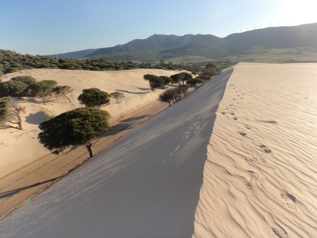 Duna de Valdevaqueros. Después de las obras