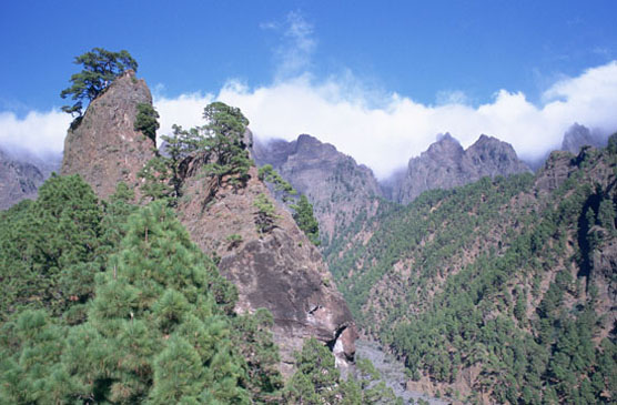 Parque Nacional de la Caldera de Taburiente. Autor: J.M. Castro/ Fototeca CENEAM