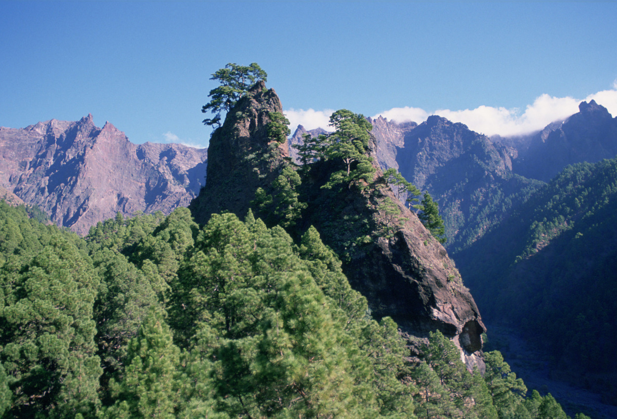 Parque Nacional de Caldera de Taburiente. Autor: J. M. Castro Martín / Fototeca CENEAM