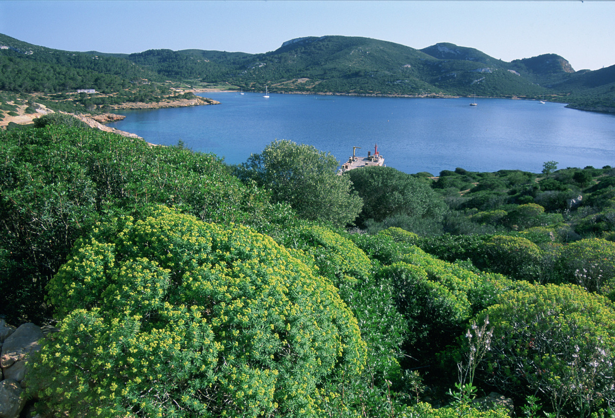 Parque Nacional Marítimo Terrestre del Archipiélago de Cabrera. Autor: C. Valdecantos / Fototeca CENEAM