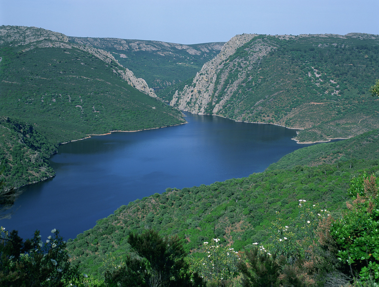 Parque Nacional de Monfragüe. Autor: J. M. Reyero / Fototeca CENEAM