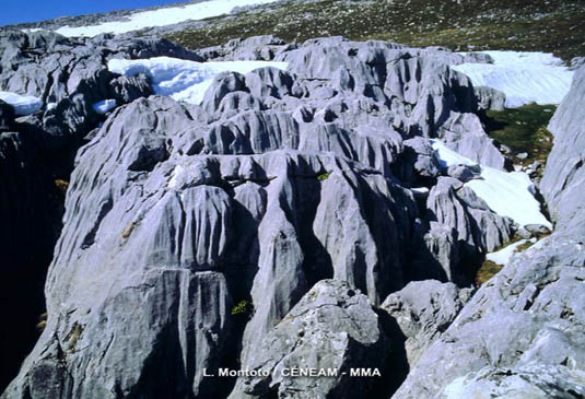 Las rocas calizas del parque pueden ser erosionadas superficialmente por el agua, originando formaciones de curiosas formas, denominadas lapiaces.