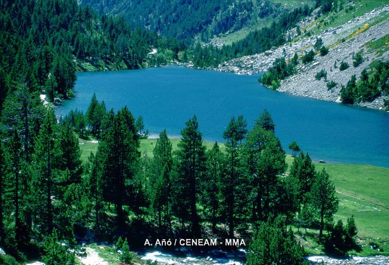 En Aigüestortes hay más de doscientos lagos o "estanys"de aguas limpias, frías y transparentes.