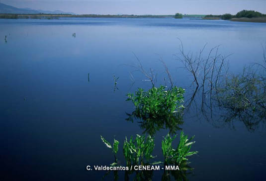 El agua es el recurso indispensable para el mantenimiento de la vida en el parque.