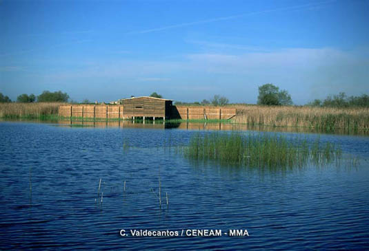 En las Tablas de Daimiel, hay varios observatorios, para facilitar a los visitanes la contemplación de las aves.