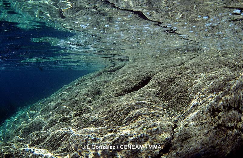 En el parque nacional, el mar tiene un papel fundamental, aproximadamente el 85% de la superficie protegida corresponde al dominio del océano.