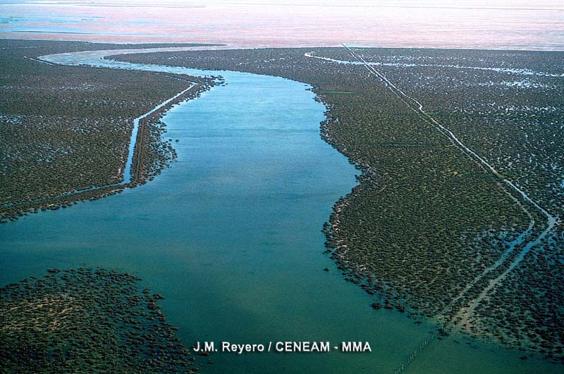 El agua de la lluvia aporta el 50 % del agua de la marisma, el resto lo proporcionan, principalmente, dos cursos de agua: el Arroyo de la Rocina y el de Cañada Mayor.