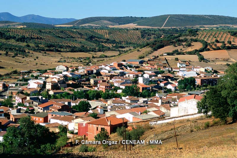 Las principales actividades económicas de los habitantes de los pueblos de la zona son la ganadería y al agricultura.