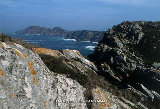 Las Islas Cies destacan por sus acantilados en la cara oeste y los arenales en la este.