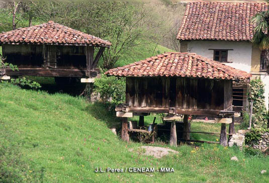 El genuino paisaje humano de los Picos de Europa tienen al hórreo como elemento peculiar. Los horreos mejor conservados se encuentran en Valdeón.