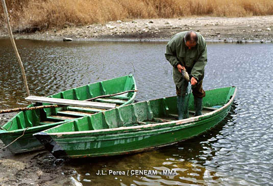 Uno de los aprovechamientos que tradicionalmente se realizaba en este lugar era la pesca. Actualmente ya no se lleva a cabo.