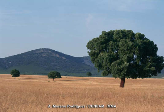 La raña es la imagen más emblemática del parque. Este paisaje ha sido modelado durante siglos, por las actividades humanas.