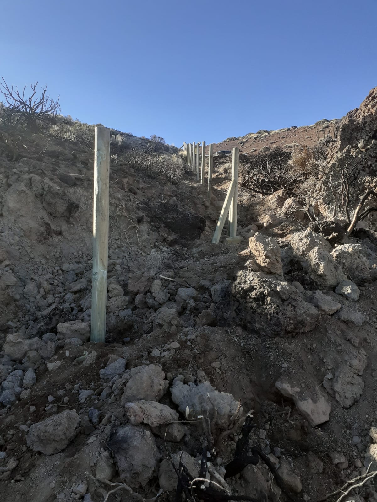 Instalación del vallado protector ante el ataque de la población de herbívoros introducidos.