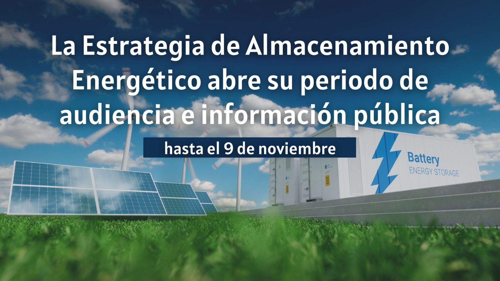 Información pública Estrategia de Almacenamiento