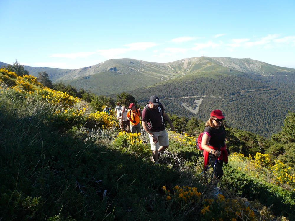 Paseos de verano por la Sierra de Guadarrama 2014