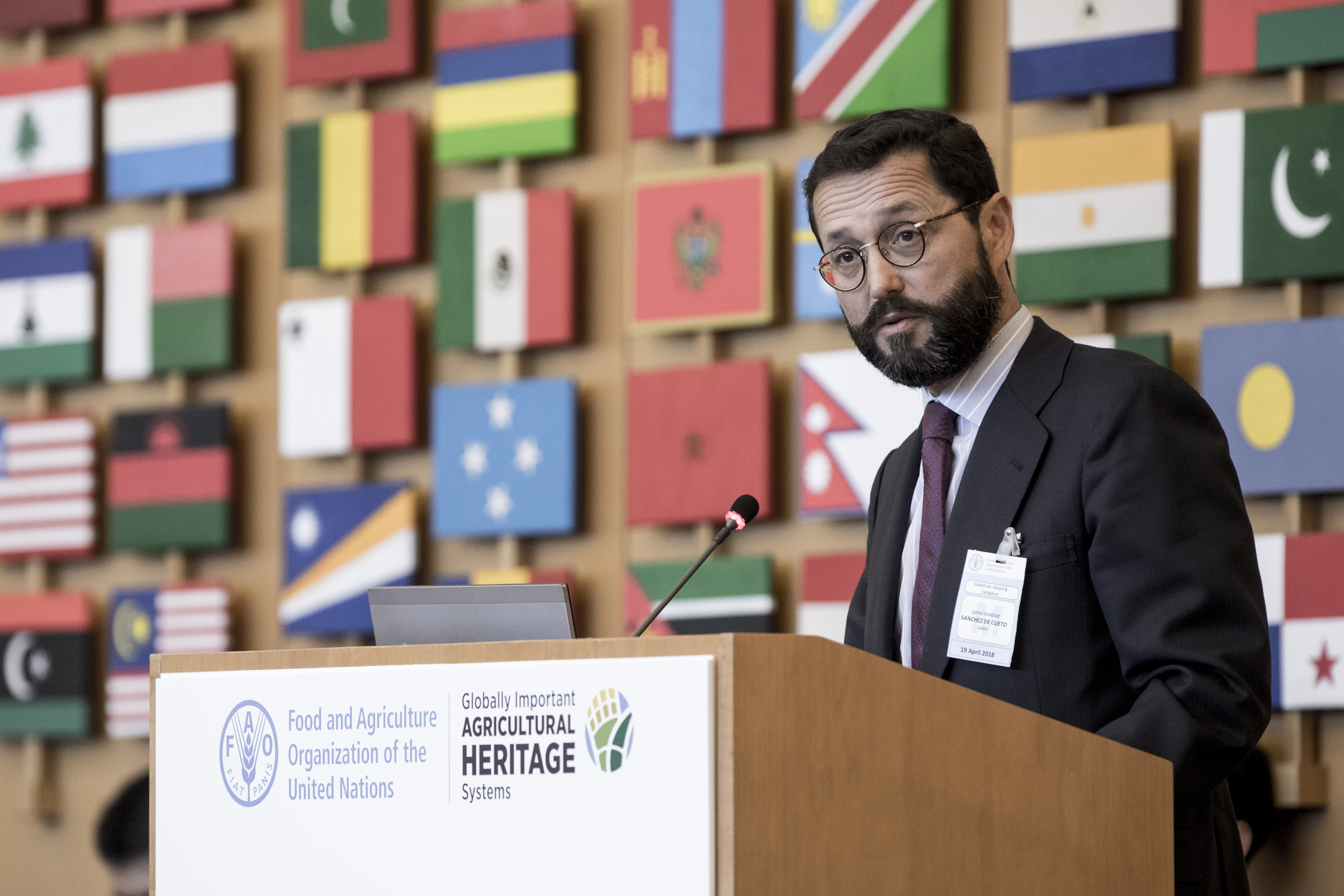 19 April 2018, Rome, Italy - Mr Jaime Haddad Sanchez de Cueto, Vice-Minister of Agriculture, Fisheries, Food and Environment, Spain. Globally Important Agricultural Heritage Systems (GIAHS) International Forum and  Certificate Award Ceremony, (Green Room), FAO Headquarters.