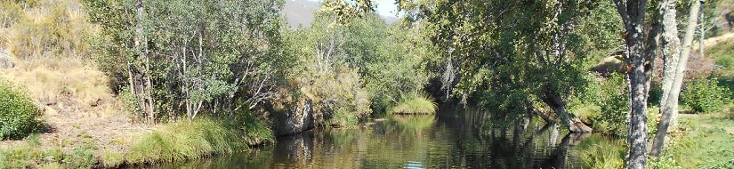 Río Negro. CH Duero.