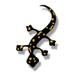 Icono anfibios y reptiles