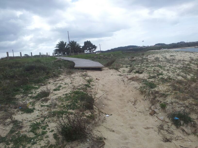 Reparación rampa de acceso en madera