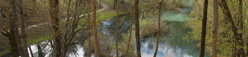 Nacimiento del Río Ebro