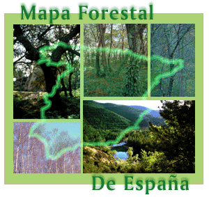 Composición gráfica con imágenes de bosques y el contorno de la península ibérica