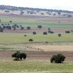 Biodiversidad en medios agrarios