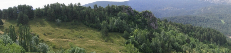 Bosque atlántico. Foto: Juan Manuel Villares (BDN MAGRAMA)