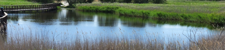 Tablas de Daimiel