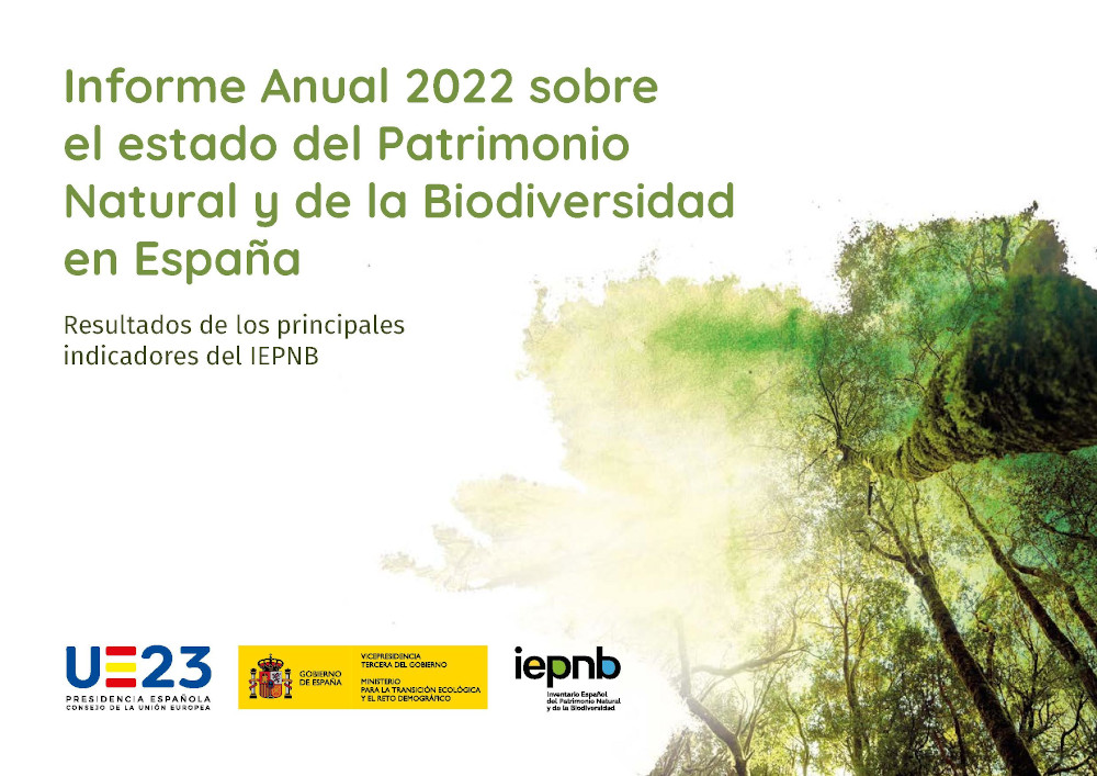 Portada Informe IEPNB