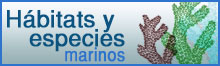 Habitats y especies marinos