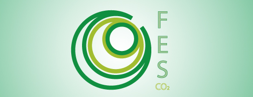 FES final